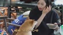 娱乐八卦视频哪里看,这些视频平台让你一网打尽最新热点