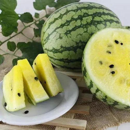 吃瓜黑料精品一区